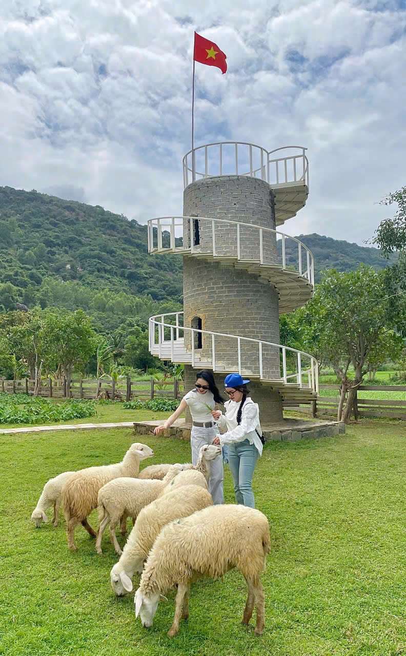 Tour Ninh Thuận